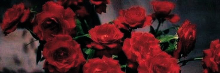 𐙚𝐕𝐚𝐥𝒆 banner