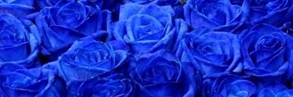 costcocleanerm1 Profile Banner