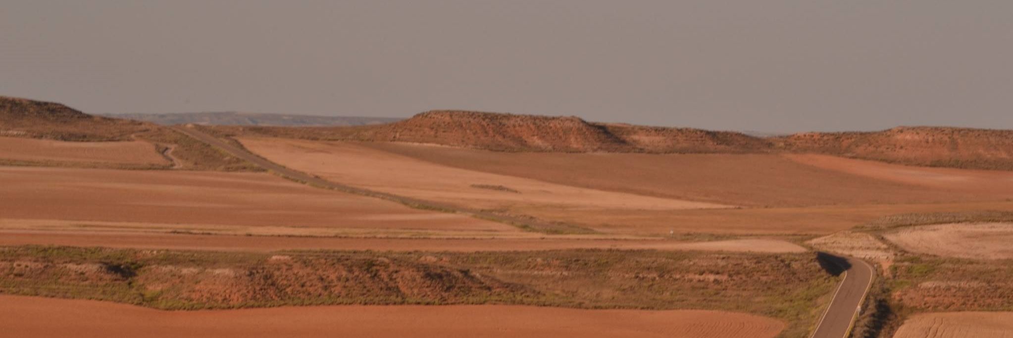 mencarmen's profile banner image