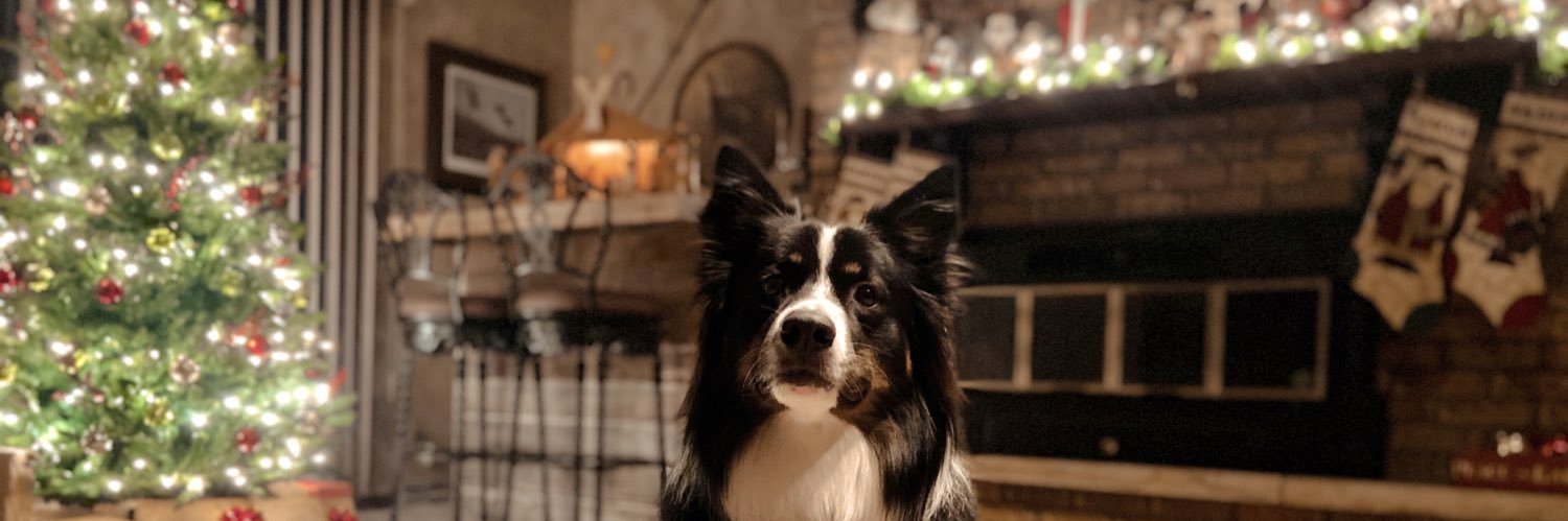rushksadie's profile banner image
