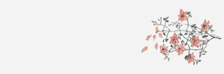 robin banner