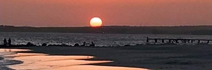 andreinagarrid's profile banner image