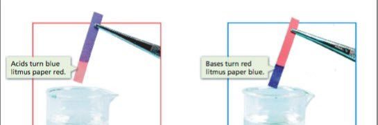 dread sandwich banner