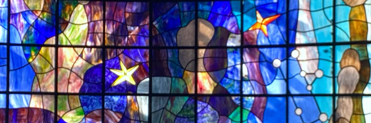 Pablo C. Zúñiga🦥 banner