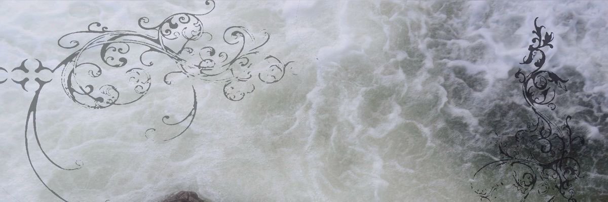 PIPA banner