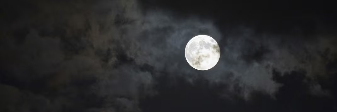 𝕎𝕀ℤ banner