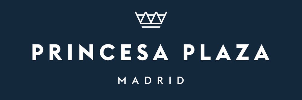 Princesa Plaza Madrid banner