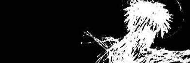 Bgang⚜️ banner