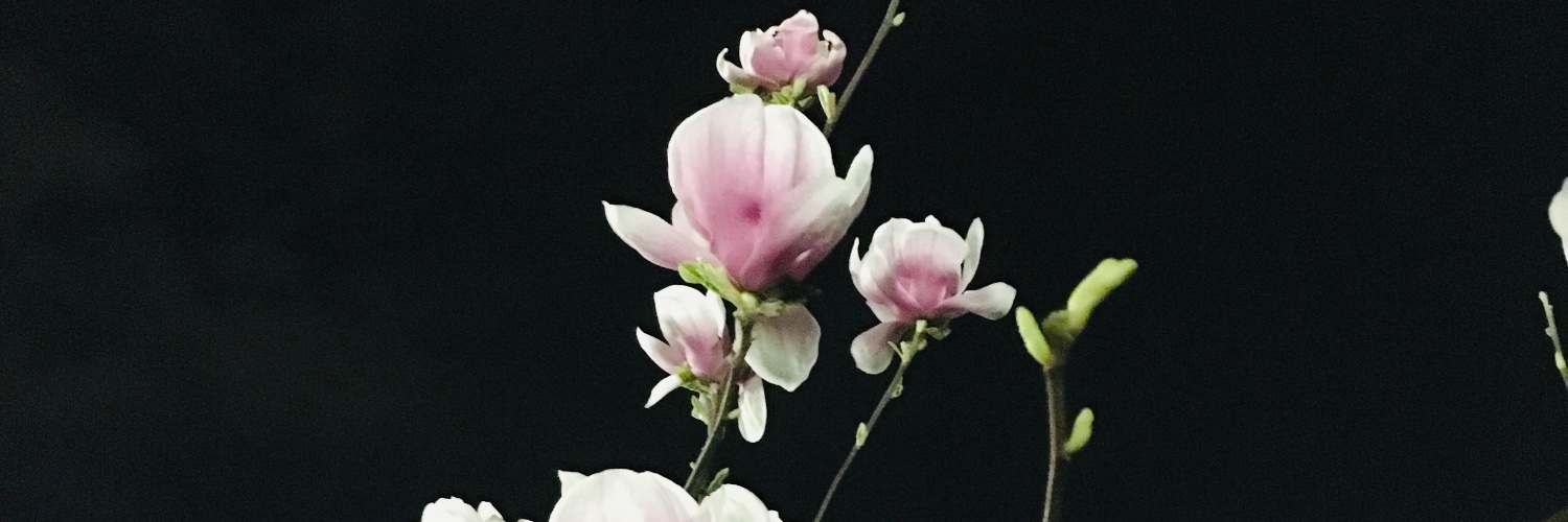 Фог Трип 𝕀𝕟c. banner