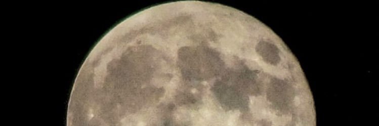 imhvardhan's profile banner image
