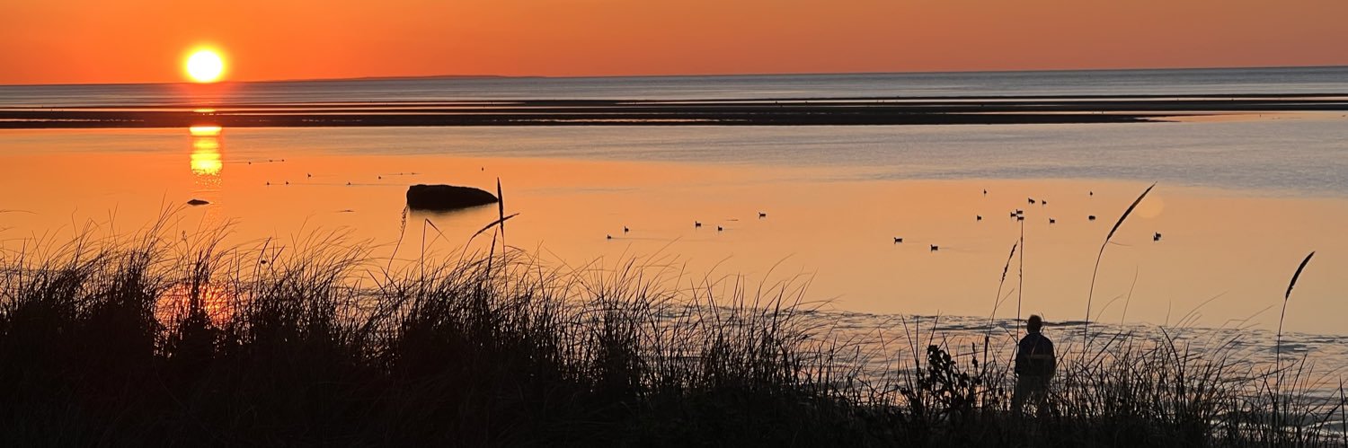 Couch Correspondent banner