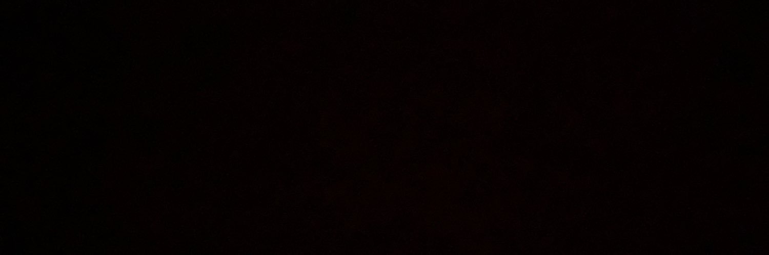shannily's profile banner image