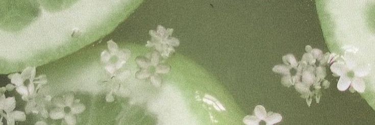 vastxt's profile banner image