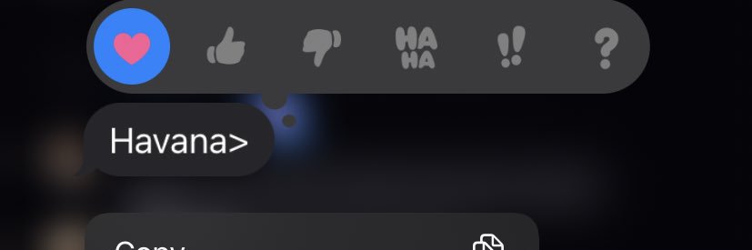 havanagenae's profile banner image