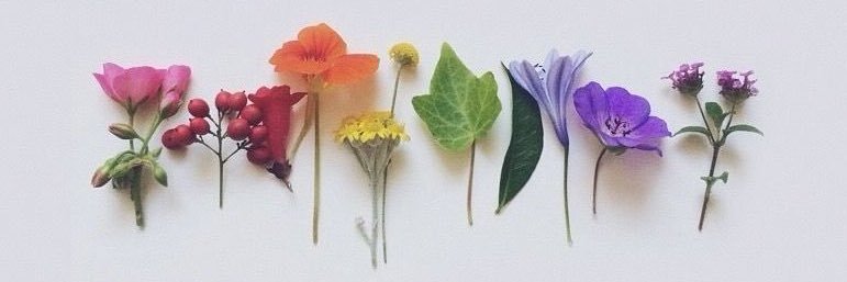 Flowery18's profile banner image