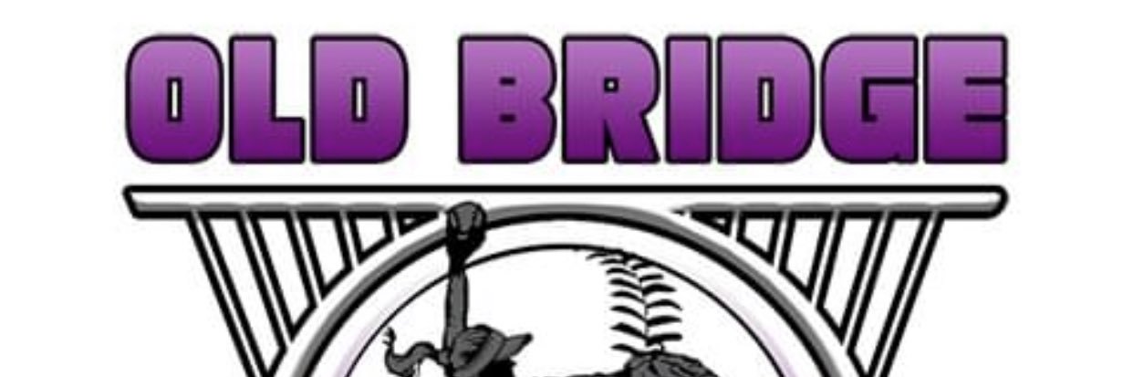 Old Bridge Girls Softball League banner