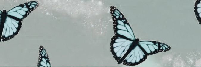 audgse's profile banner image
