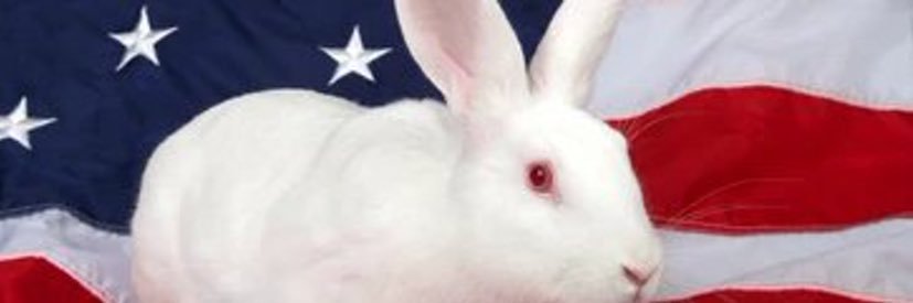 TravisCManuel's profile banner image