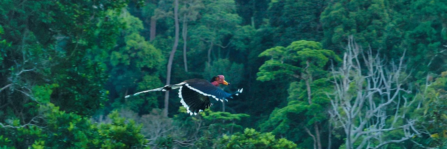 Endangered Species International banner