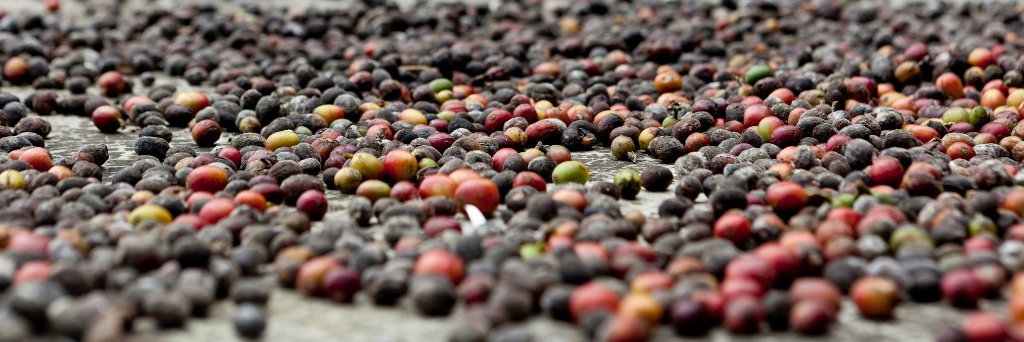 Harry Metcalfe banner