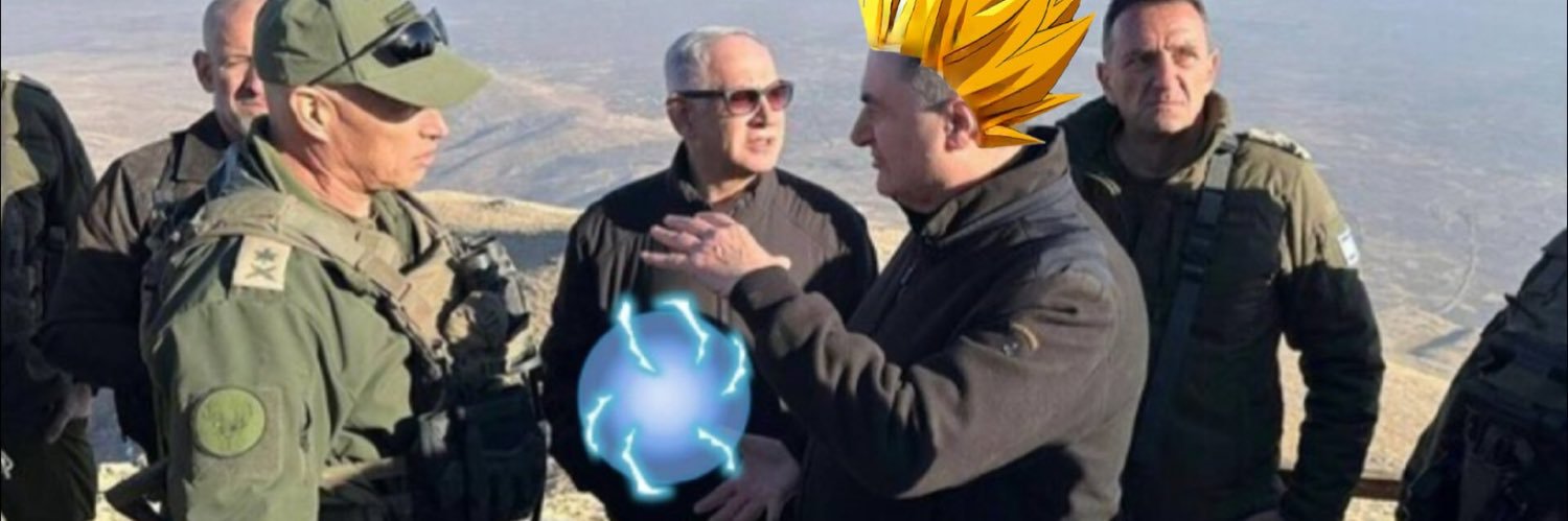 ניצן ברלינר banner