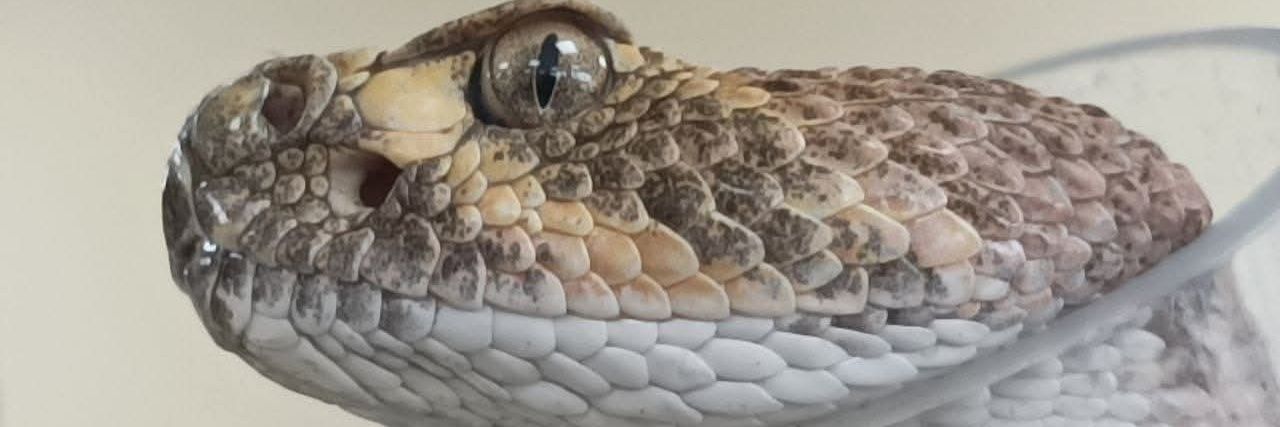 ERA_Azcatl's profile banner image