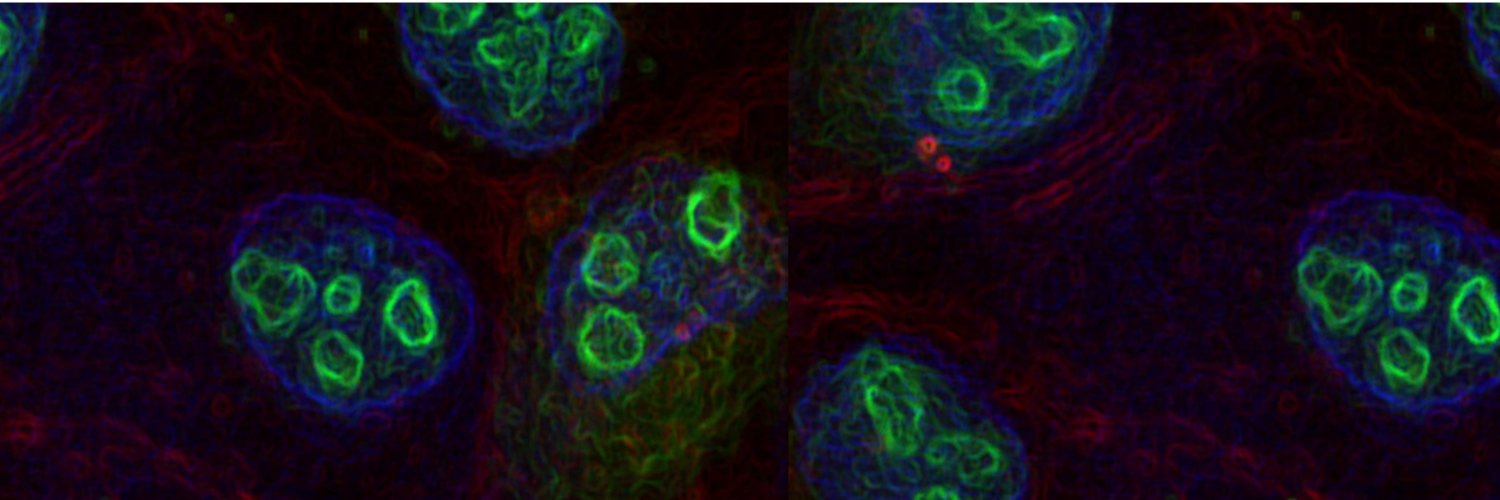 Kshitiz Lab banner
