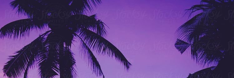 DTara888's profile banner image