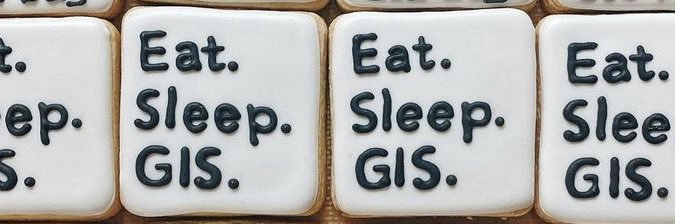 Aneika J Perez banner