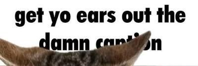 Vick 💖 banner