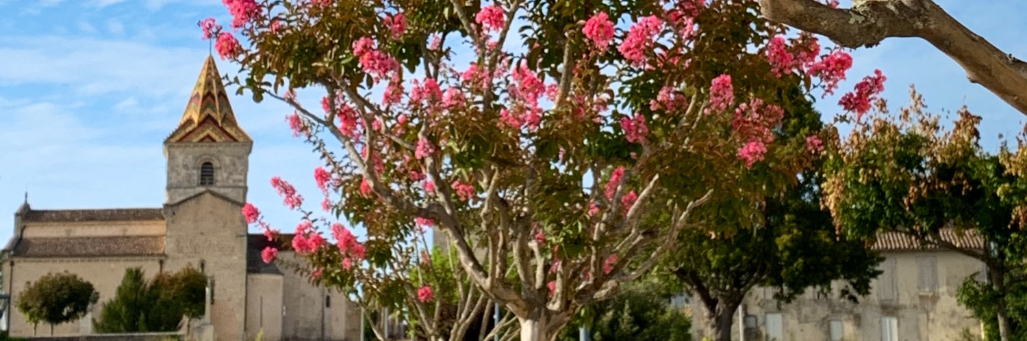 Mathieu Delomier banner