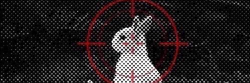 xigarillo's profile banner image