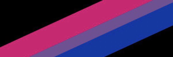 bisexual armys Profile Banner