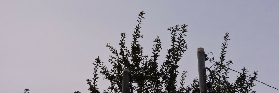 ribamarff's profile banner image