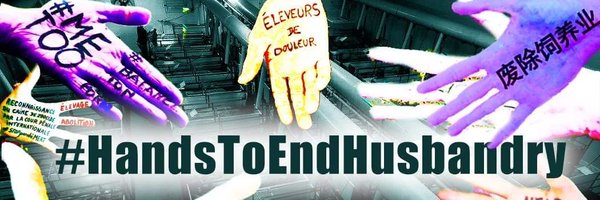 HANDS TO END HUSBANDRY Profile Banner