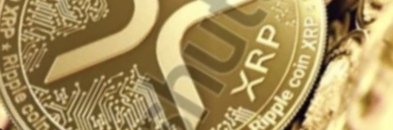 MiepjevVerkade's banner