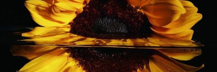 Mama kaUku 🥰😊🙂 banner