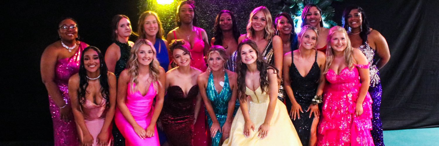 ldhscheersquad's profile banner image