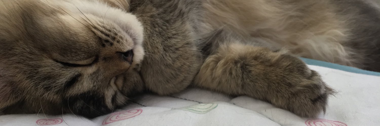 cat_type's profile banner image