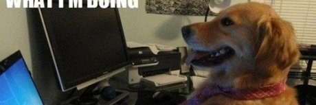 BTC137 banner