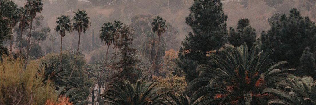 SmoliakVera's profile banner image