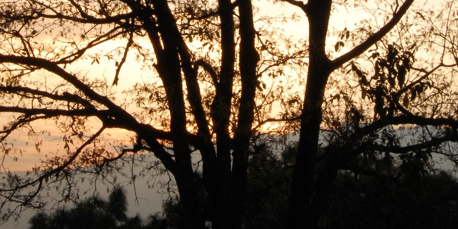 kannil's profile banner image