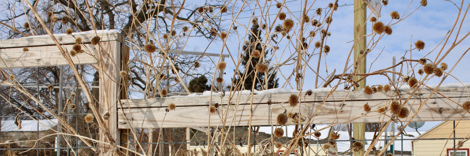 BarstadTatum's profile banner image