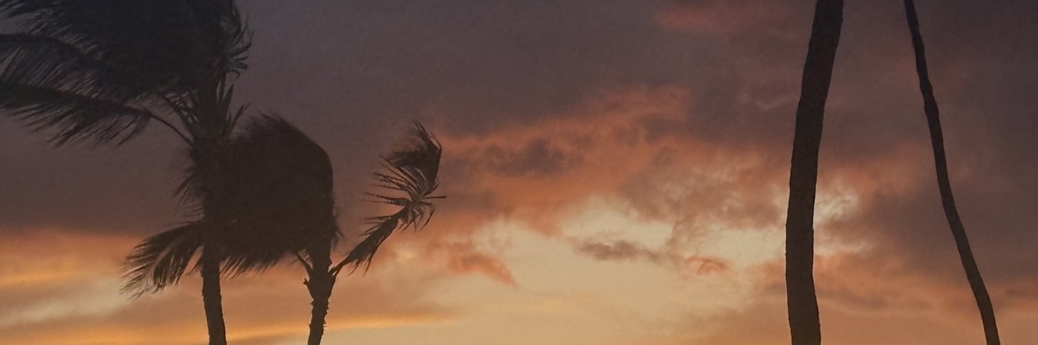 brianaraexoxo's profile banner image