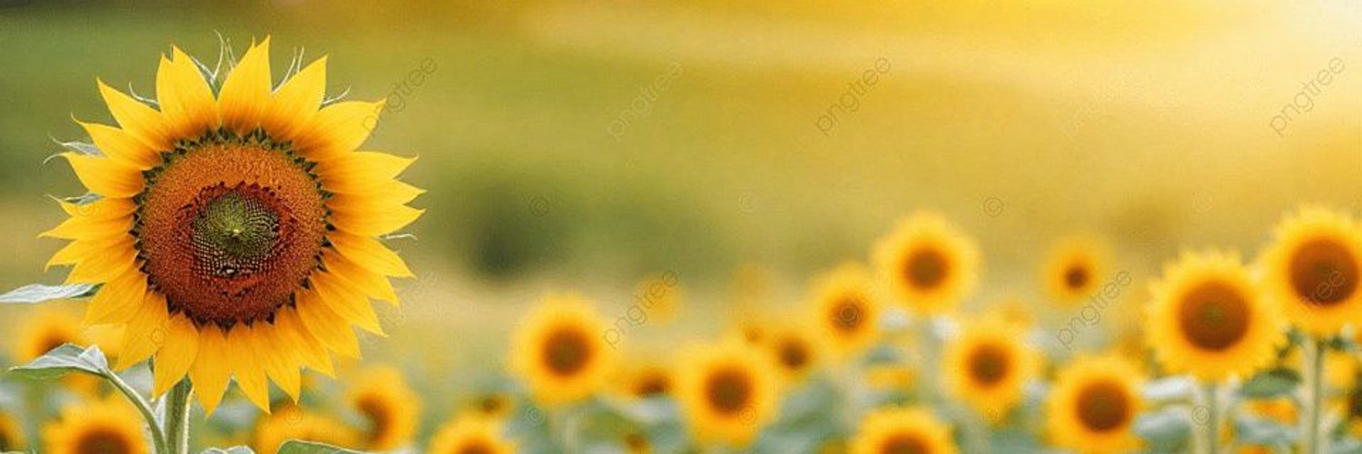 ああ banner