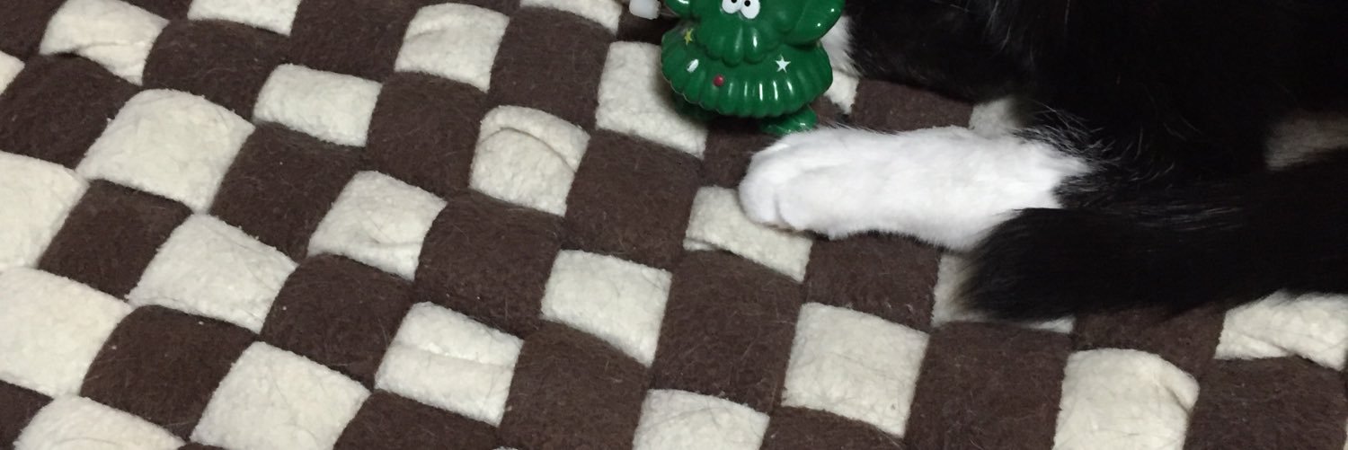 pinga1103's profile banner image