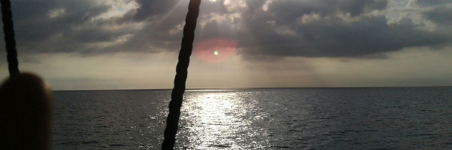 boholst11's profile banner image