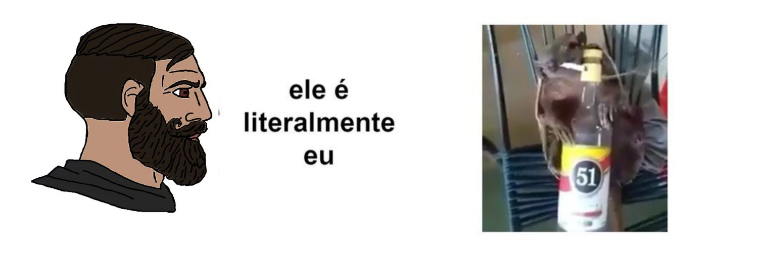 aly banner