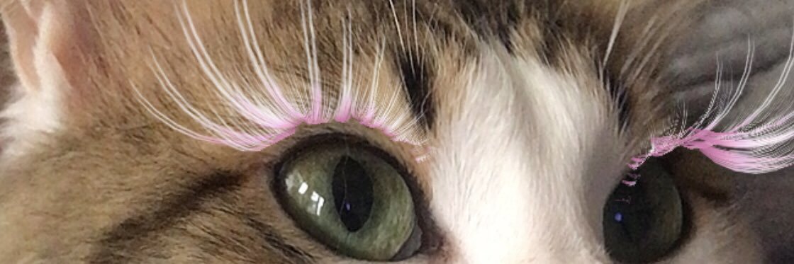 Tukendimm0's profile banner image