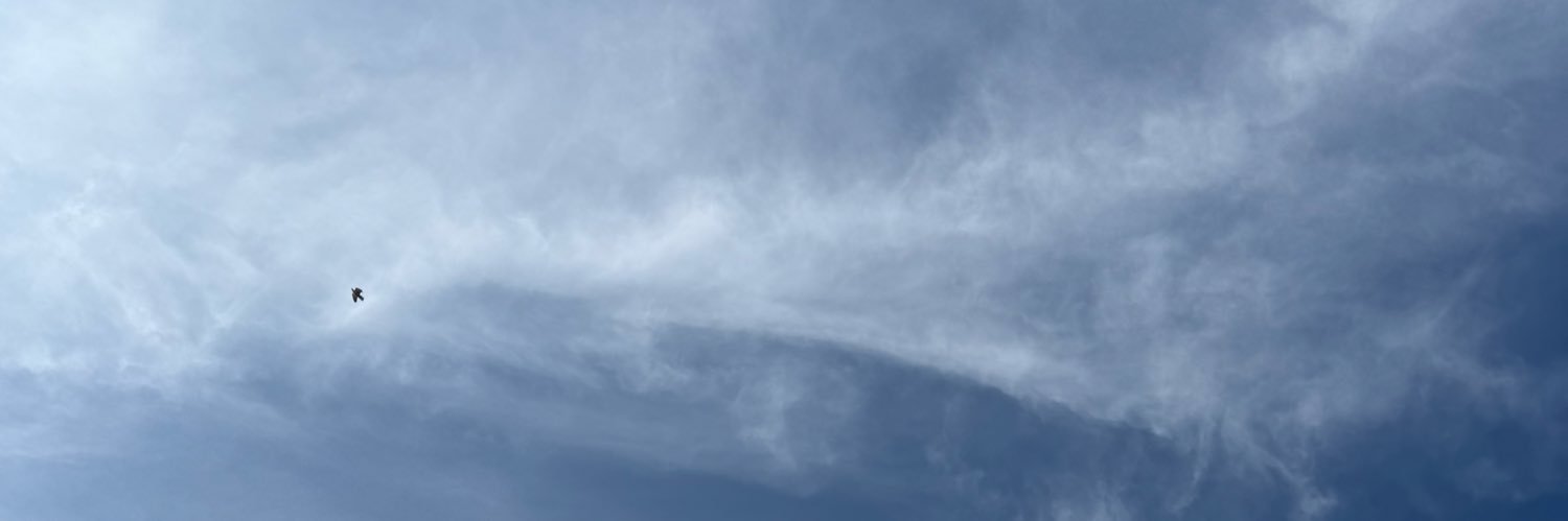 nasim__a's profile banner image